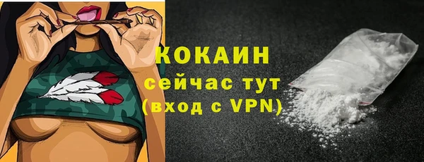 кокс Алексин