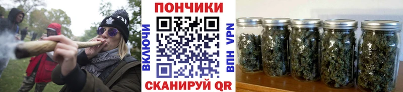 Каннабис Bruce Banner  MEGA зеркало  Приморск 